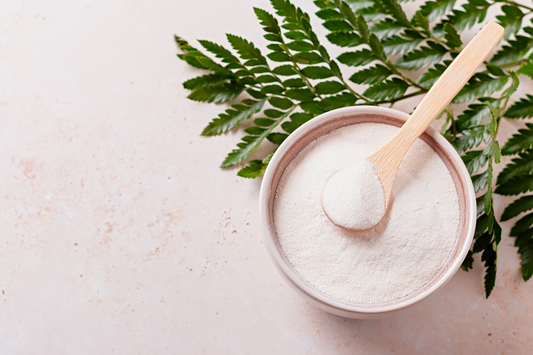 Collagen vs. Protein Powder: Which One Do You Need?